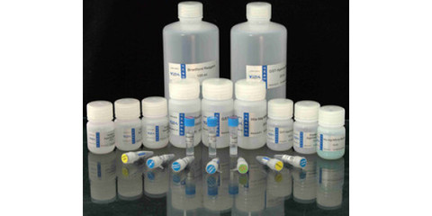 天津港化工原料进口全流程解析 从申报到提货的关键环节